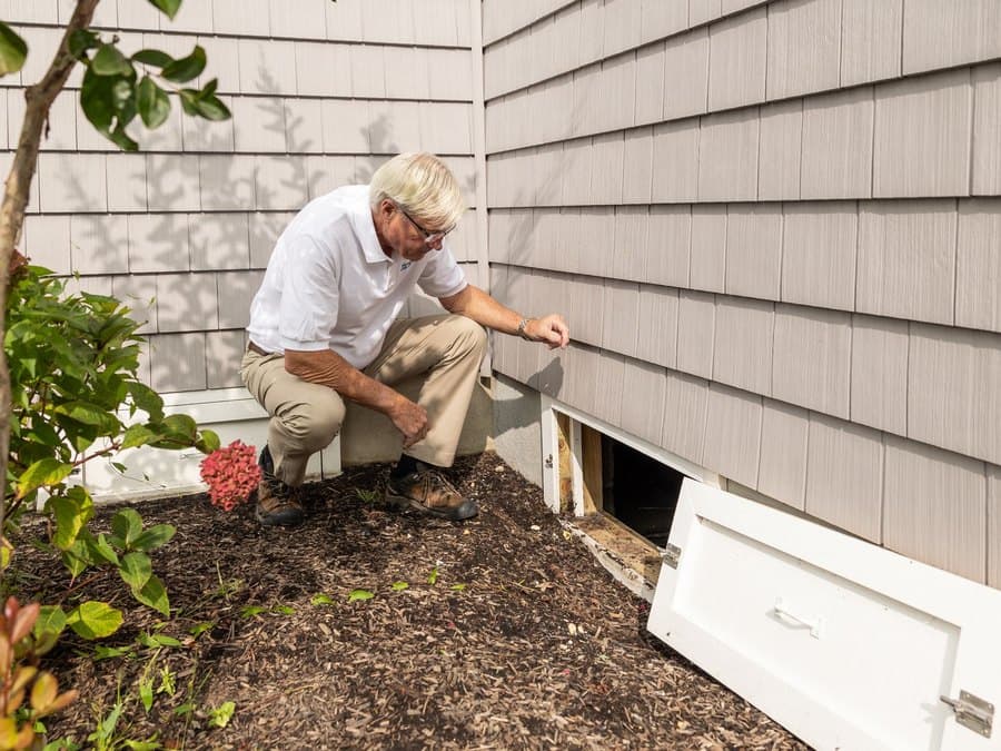 Dead animals wildlife removal